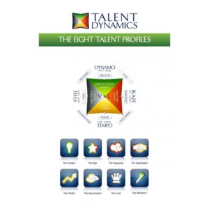 Talent Dynamics Profile Test - To Get Into the Flow Within an Organisation