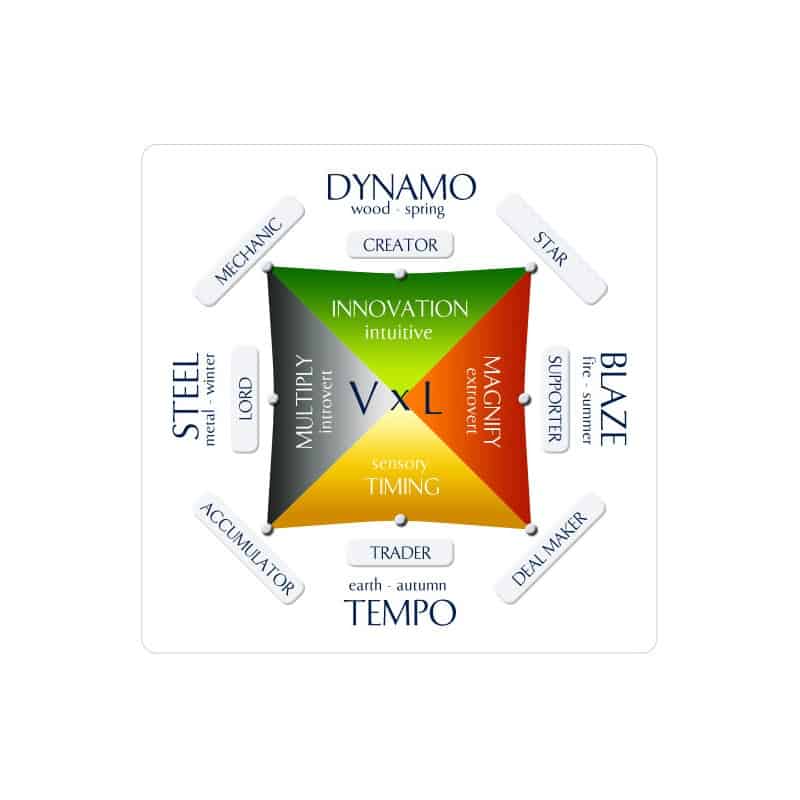 Wealth Dynamics Profile Test for Entrepreneurs